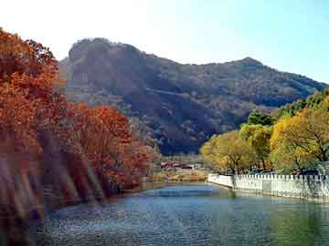 管家婆黑白马报图库，炎帝生物鸿鑫导师